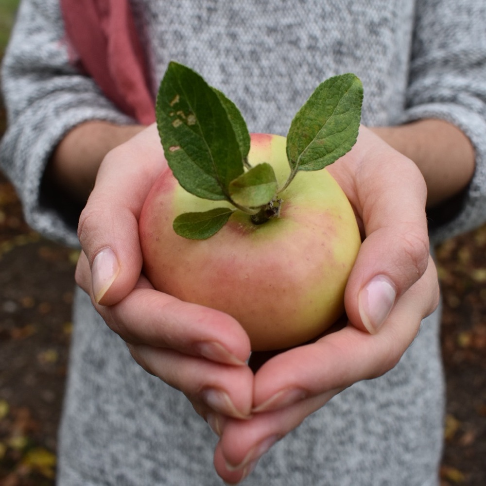 Meet your Posher, Stacy